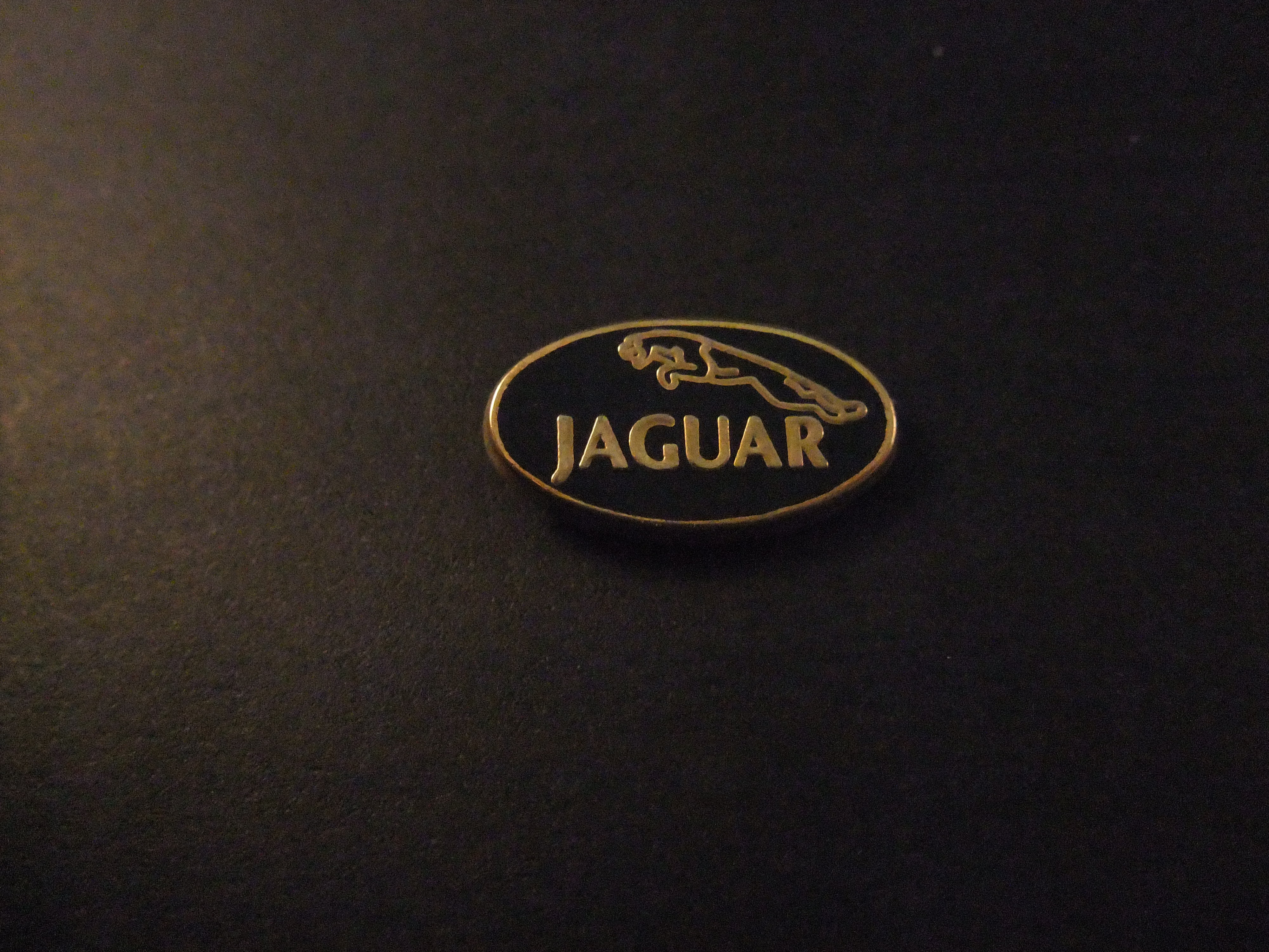 Jaguar Engelse autofabrikant logo zwart goudkleurige letters